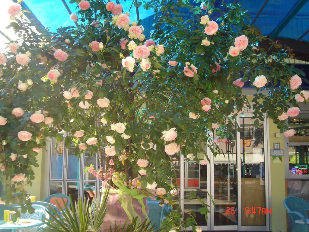 Hotel Da Giovanna 3*